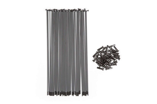 BSD SPOKES & NIPPLES SeasideBMX