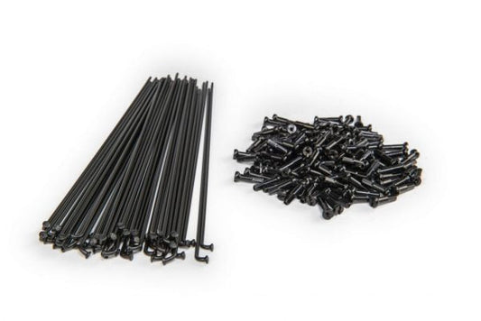 ECLAT PG SPOKES - SeasideBMX - Eclat