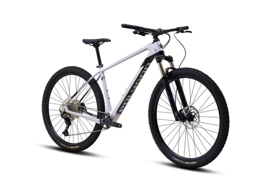 SYNCLINE C2 - SeasideBMX - Polygon